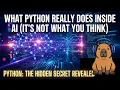 How Python Connects You to AI Step-by-Step Through a Chatbot Message
