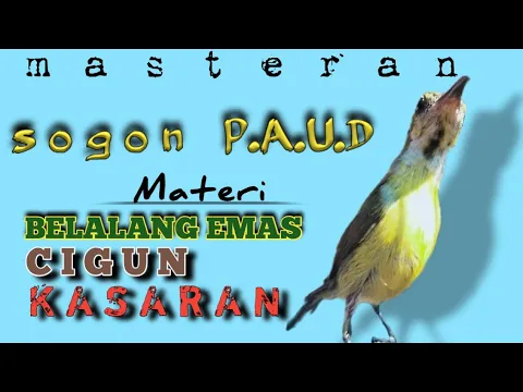 Download MP3 MASTERAN SOGON FULL TEMBAKAN PANJANG