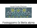 Video di stella alpina | Festeggiamo la Stella alpina