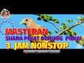 Download Lagu Suara Pikat Burung Punai Pikat Paling Jernih Durasi 3 Jam Nonstop No Iklan 100% Point #mbakule88
