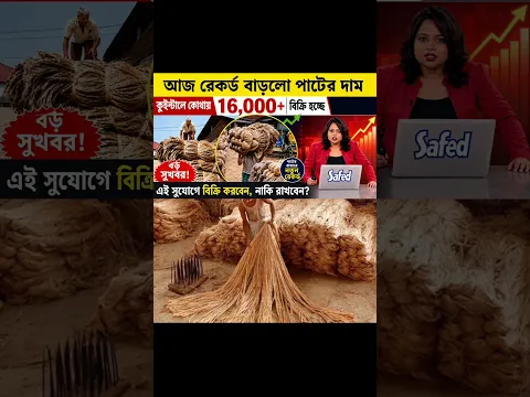✅ আজ দ্বিগুণ বাড়লো পাটের দাম | কেন হঠাৎ দাম বাড়ছে? | জেলাভিত্তিক বাজার আপডেট | Jute Price Today |
