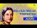 Download Lagu Malligai Mullai Poopanthal Audio Song | Anbe Aaruyire | Vani Jairam Hits