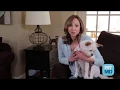 How to Remove Ticks on Dogs and Cats Step-by-Step - PetMD 2017