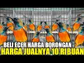 Download Lagu KEJUTAN MENDADAK ! RATUSAN EKOR BURUNG OMBYOKAN DIJUAL HABIS HABISAN HARI INI DIKIOS PASAR PRAMUKA