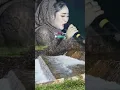 Download Lagu Bloeiende heuvels #trendingshorts #toerisme #natuur #bruiloft #rivier #fypシ゚viral #fyp