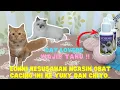 Download Lagu Cara Memberikan Obat Cacing Kucing - Obat Cacing Kucing WORMIX