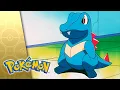 Download Lagu Don't Touch That 'Dile! | POKÉMON FULL EPISODE 1 | Season 3