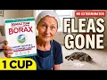 One Cup of Borax and Fleas Won t Touch Your Carpet Again