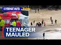 Download Lagu Teenager mauled by shark at popular holiday beach in NSW | 9 News Australia