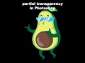 Creating Transparency in Photoshop for Partial Rasterization in ProRip