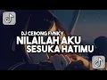 Download Lagu DJ Nilailah Aku Sesuka Hatimu Mengkane Viral Tiktok Terbaru