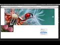 11 Slide Show next prev click
