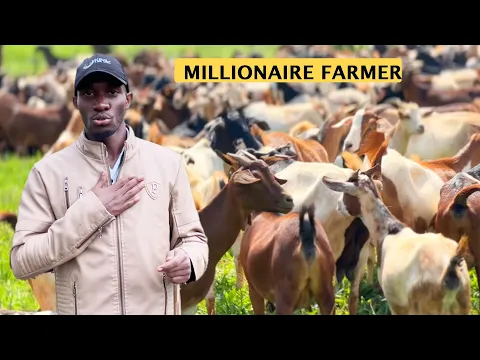 Download MP3 Reasons Why You Must do Zero-Grazing For GOATS | Detailed Video | 2024