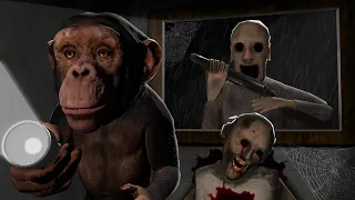 ESTE VIEJO BUSCA VENGANZA 💀 | Monito Pobre #12