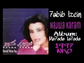 Najwa Karam - 7abib Lzain [Official Audio] (1997) / نجوى كرم - حبيب الزين