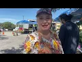 Garage Sale San Antonio Texas Wurzbach Road Second Sales Avocado to Aavakai