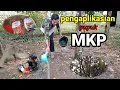 Lagu Pengaplikasian pupuk MKP (buah) pada durian lokal berumur 7 tahun//petani lampung barat