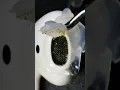 Download Lagu Cleaning AirPods with hot glue cap | don’t try this ⚠️ #asmr #satisfying #waitforit #cleaning