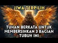 Download Lagu JIWA TERPILIH ✨ JANGAN LEWATKAN SATU HARI PUN – SUCIKANLAH BAGIAN INI SEKARANG 🙌