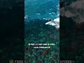 The Only Surf Check Built for SoCal Surfers SwellChecker