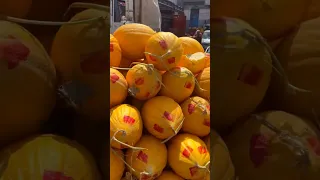 9 8 2025 ثمن الخضار والفواكه سوق الجملة الدار البيضاء لا لغلاء الأسعار الخضار الفواكه المغرب 