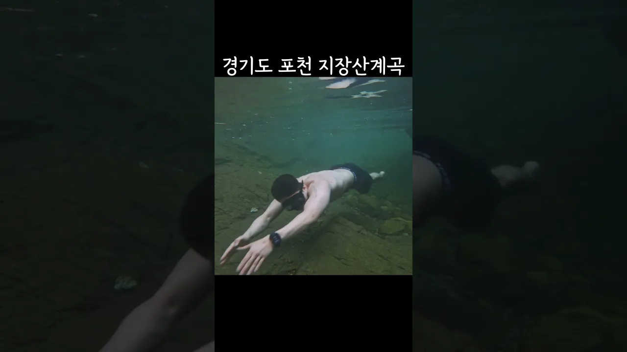 한여름에도 차가운 얼음장 계곡 #계곡 #포천계곡 #지장산계곡 サムネイル