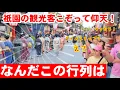 Download Lagu 9/29(月)なんだこの行列は？祇園花見小路の観光客こぞって仰天！古式ゆかしい日本美女集団が花街を練り歩く時代風俗行列【安井金比羅宮 櫛まつり】