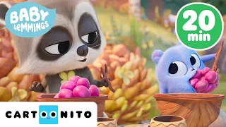 Messy Picnic with Baby Lemmings! 🍓 |Binge Marathon  | Cartoonito