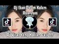 Download Lagu DJ IKAN DI DALAM KOLAM DJ RIVA DAM VIRAL TIK TOK TERBARU 2023 YANG KALIAN CARI !