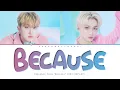 Stray Kids Changbin \u0026 Felix 'Because' (Color Coded Lyrics) | ShadowByYoongi