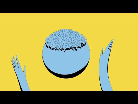 'Ahead' trailer (Ala Nunu Leszyńska, UK/Portugal)