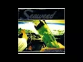 Seaweed - Start With