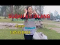 Download Lagu SUDAH KU BILANG(Christien Panjaitan)Cover By ERNIA BRIA-Studio DONBERS MALAKA Chanel (SDM)-TV Malaka