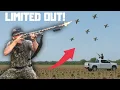 Hunting DOVES at my NEW HUNTING CLUB Georgia Dove Hunting 2025