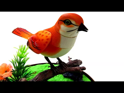 Download MP3 Bird Sound Ringtone Free Mp3 Ringtones Downloads