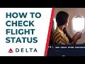 How To Check Flight Status l Delta Airlines