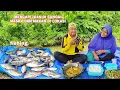 Download Lagu MENCARI IKAN DI SUNGAI MASAK DAN MAKAN DI LOKASI.