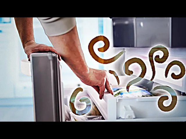 Video: What is "freezer smell"?
