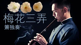 Download Three Variations of the Plum Blossom 梅花三弄 ~ xiao flute solo 簫獨奏 MP3