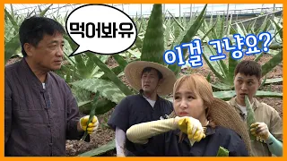  ep 8 