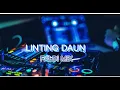 Lagu LINTING DAUN X AYI KRIPIK.. official...Faldi mix..full bass!!