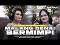 Download Lagu MALANG DENAI BEMIMPi VIRAL TIKTOK VERSI HOREG - DIDIK JANGKRIK PROJECT