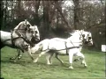 Lagu Carriage Driving World Championships 1986 Documentary