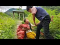 Download Lagu The daughter picked mangoes and her mother went to make fragrant strawberry grass