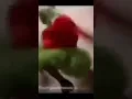 grinch twerking