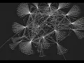 imdb network