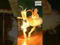 Download Lagu Muscles \u0026 Pirouettes: The Rise of Ballerino Lololo | Italian Brainrot Animals