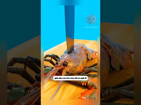 Mần tôm hùm đúng cách #facts