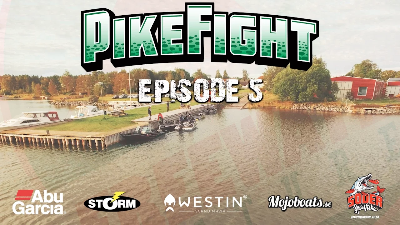 video Pike fight 2016