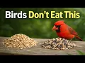 Most Bird Seed Is Filler And Birds Know It